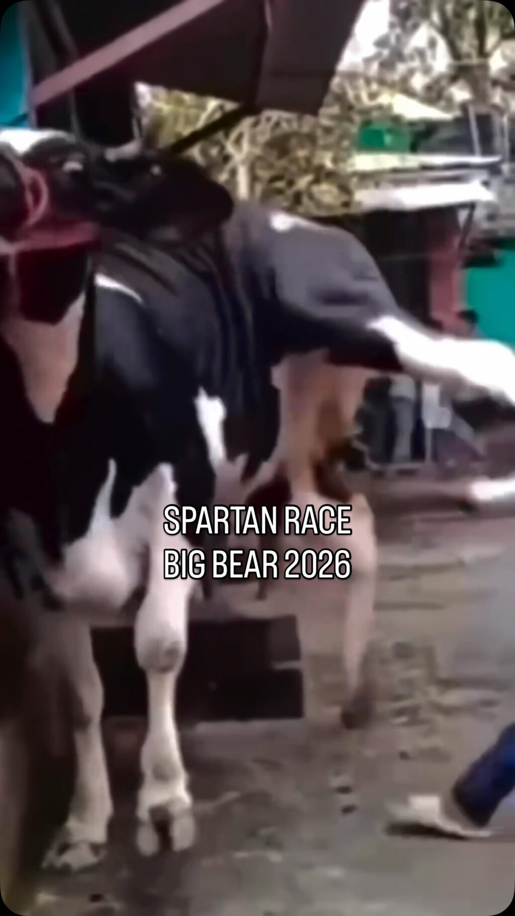 Instagram post from motivityfit. This post is in position 1.